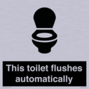 this-toilet-flushes-automatically~